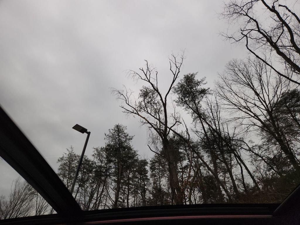 Used 2020 BMW X5 sDrive40i w/ Premium Package image 29