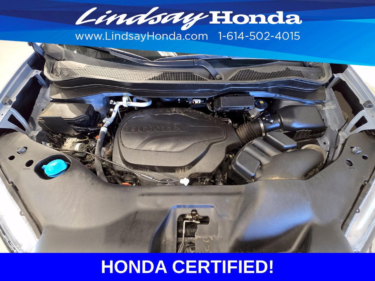 Certified 2024 Honda Passport TrailSport image 25