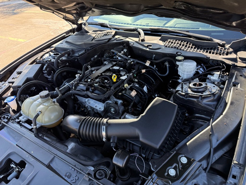 Used 2023 Ford Mustang Premium w/ Mustang Nite Pony Package image 29