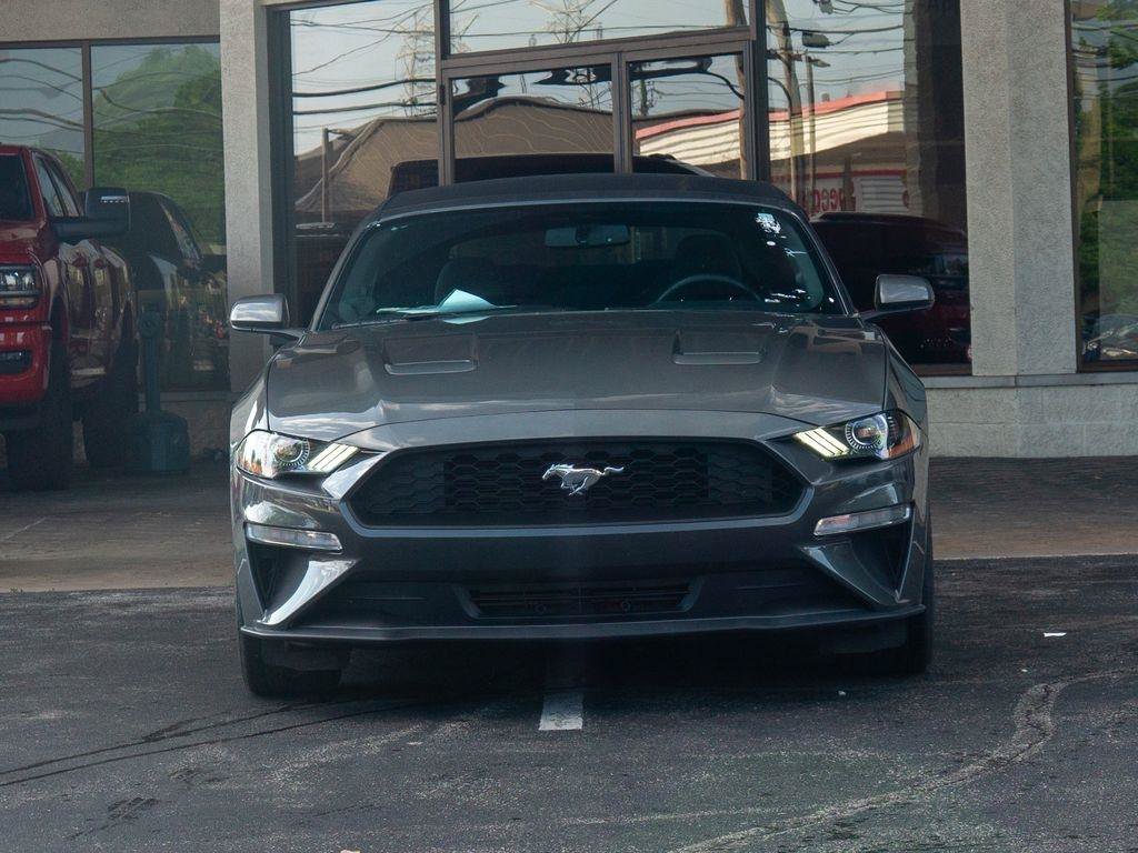 Used 2019 Ford Mustang Convertible RWD image 7