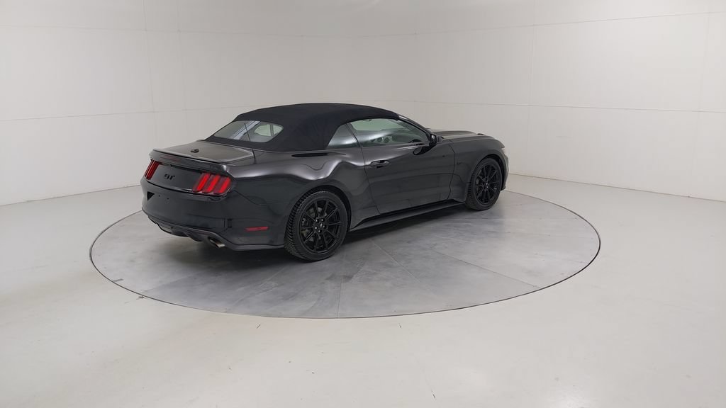 Used 2016 Ford Mustang GT Premium w/ Equipment Group 401A RWD image 12