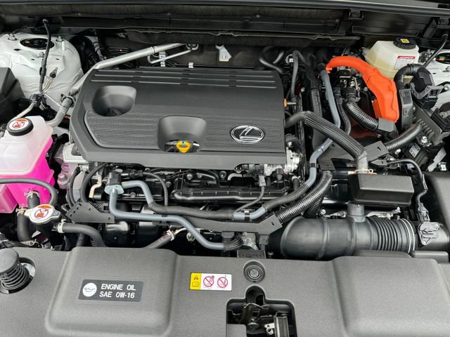 New 2025 Lexus NX 350h AWD w/ Cold Area Package image 13