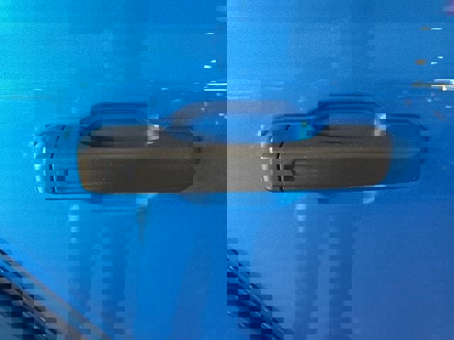 Used 2024 Jeep Wrangler Sahara w/ Technology Group image 19