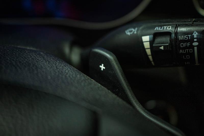 Used 2014 Kia Cadenza Premium image 19