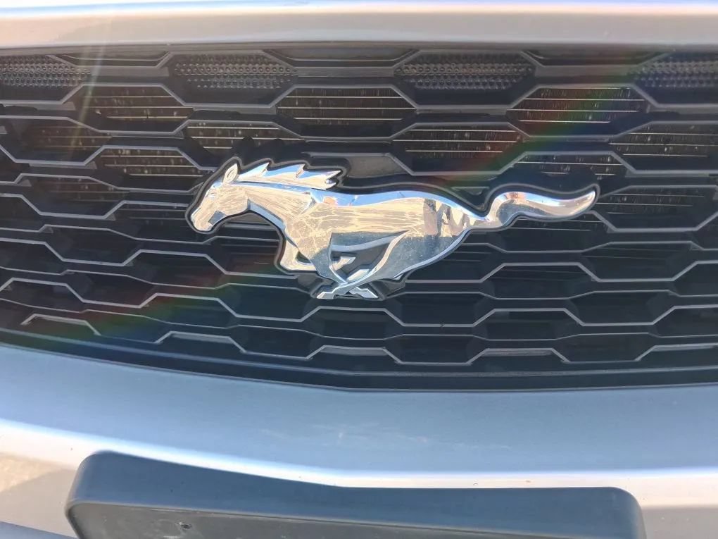 Used 2016 Ford Mustang Premium RWD image 11