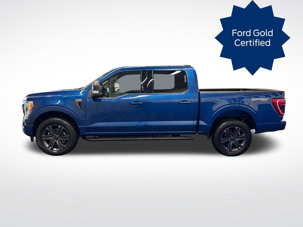 Certified 2023 Ford F150 XLT w/ Equipment Group 302A High AWD/4WD video 2