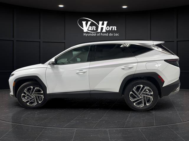Used 2025 Hyundai Tucson Limited AWD/4WD image 4