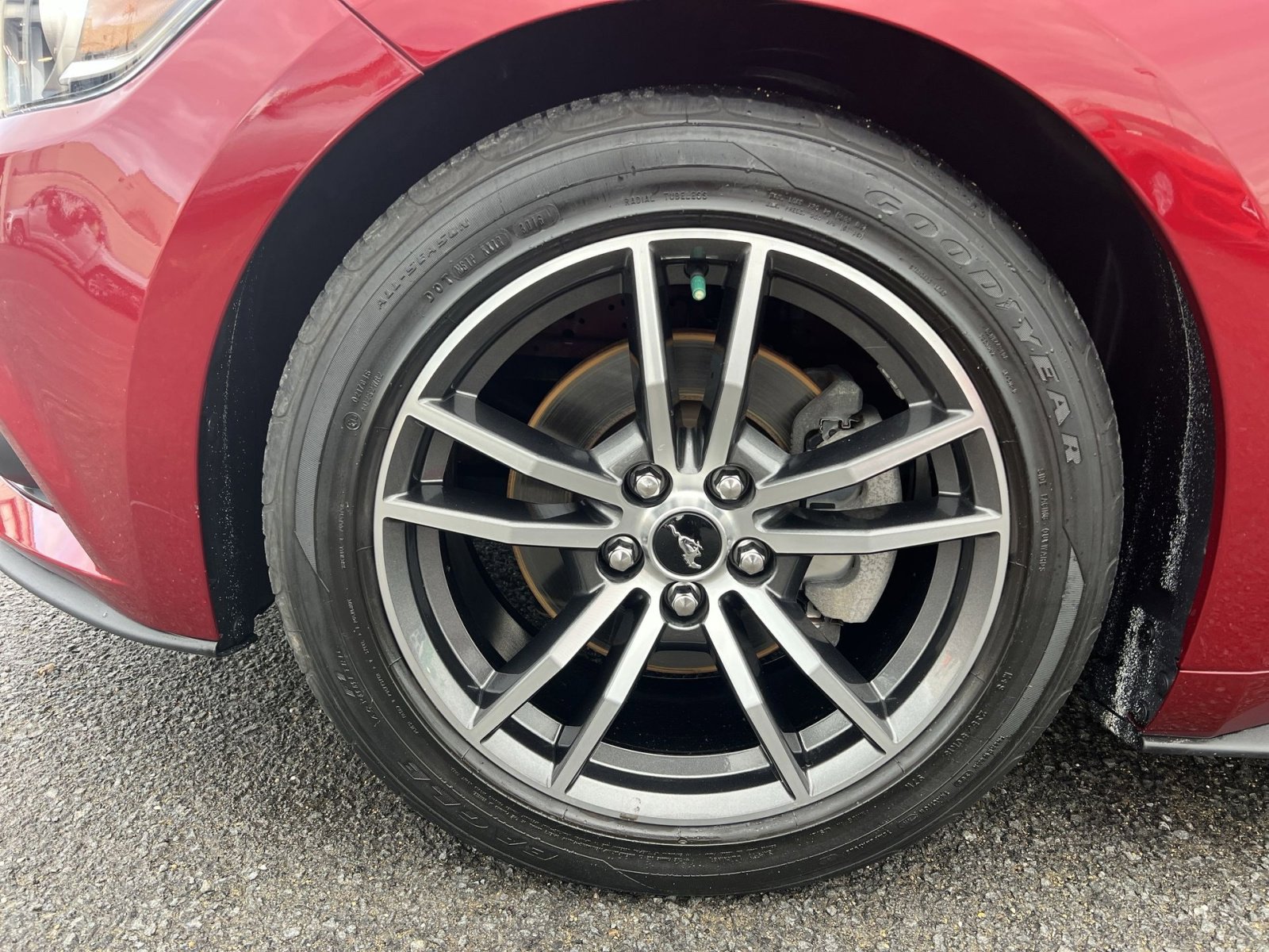 Used 2017 Ford Mustang Premium image 12