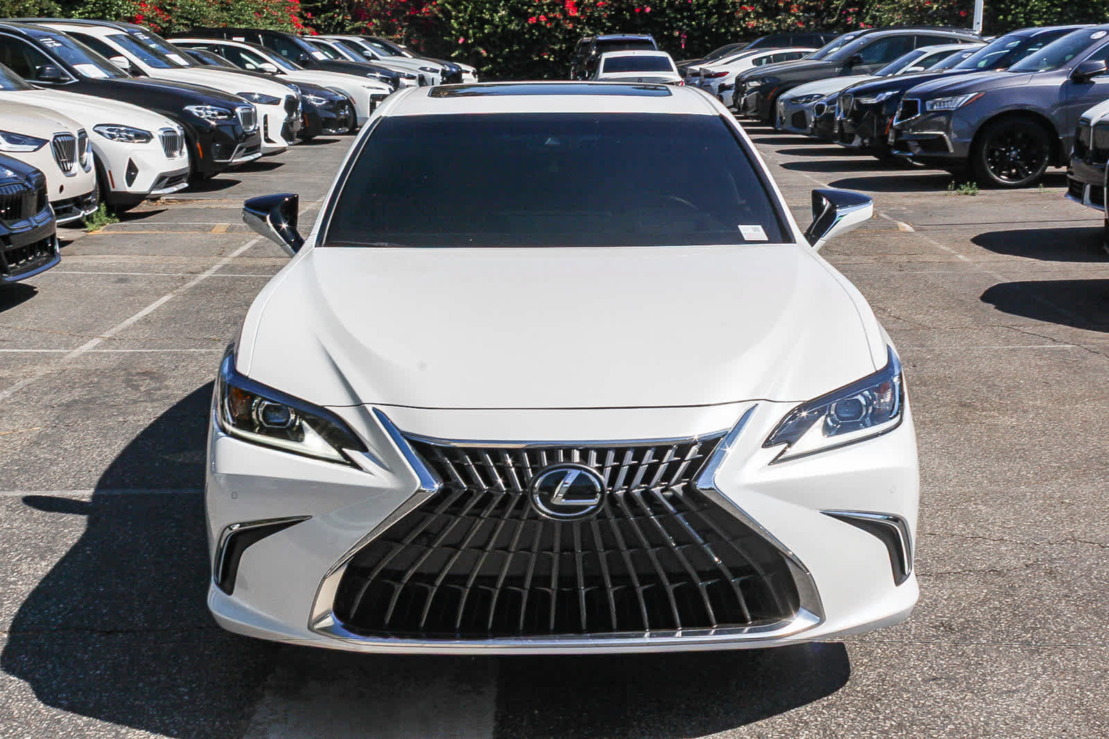 Used 2025 Lexus ES 300h w/ Premium Package FWD image 2