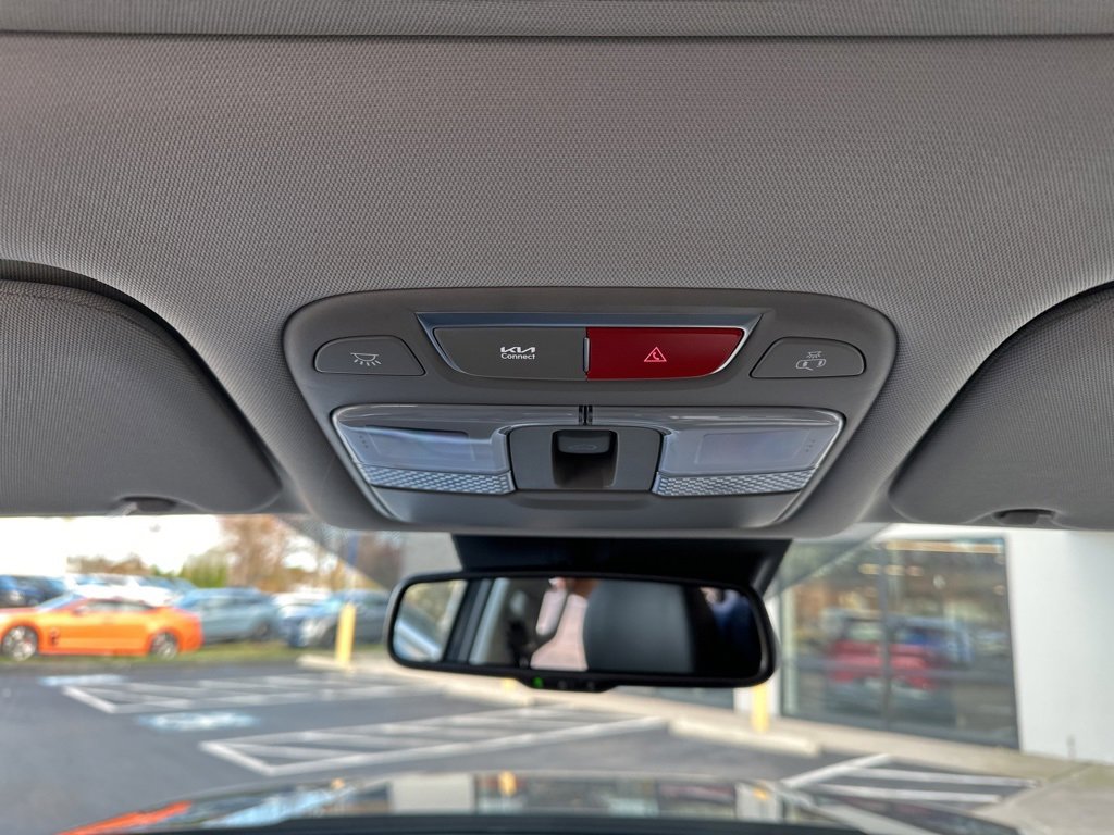 New 2025 Kia Telluride EX image 28