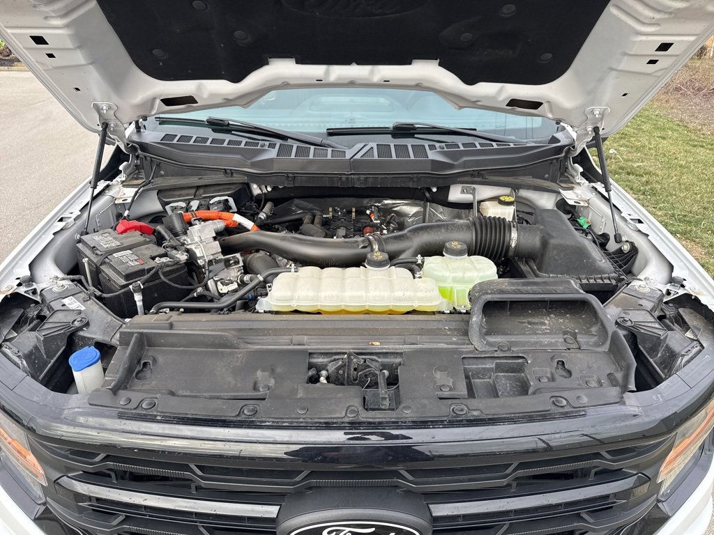 Used 2024 Ford F150 XLT w/ Equipment Group 302A MID image 12