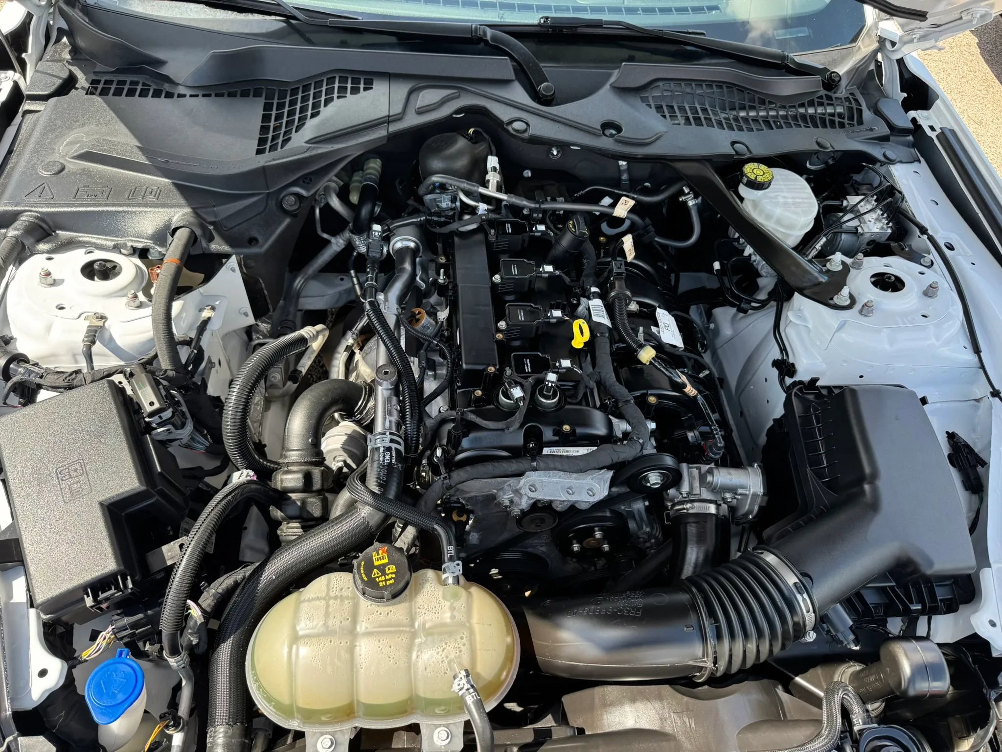 Used 2023 Ford Mustang Premium image 39