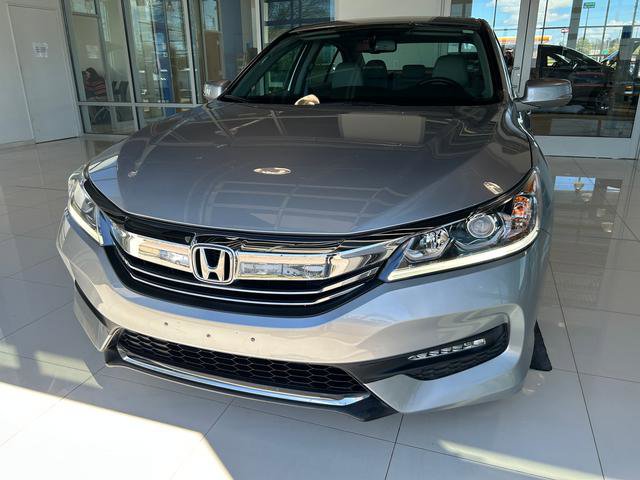 Used 2017 Honda Accord EX-L image 3