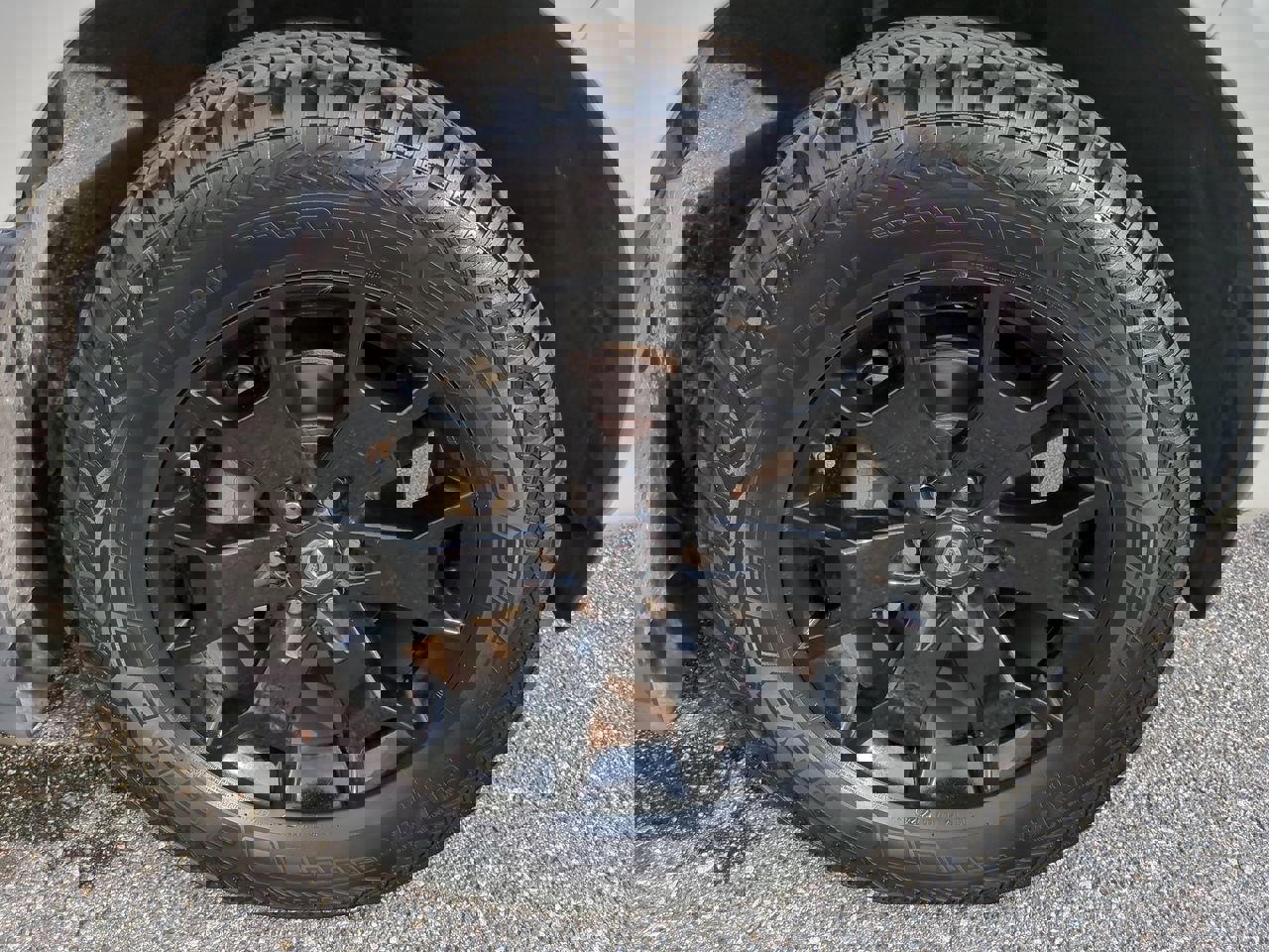 Used 2019 Nissan Frontier SV w/ Value Truck Package image 11