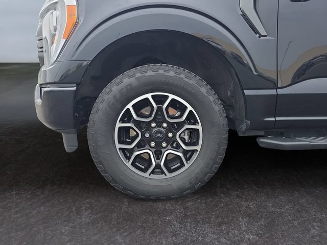 Used 2023 Ford F150 XLT w/ Equipment Group 302A High AWD/4WD image 14