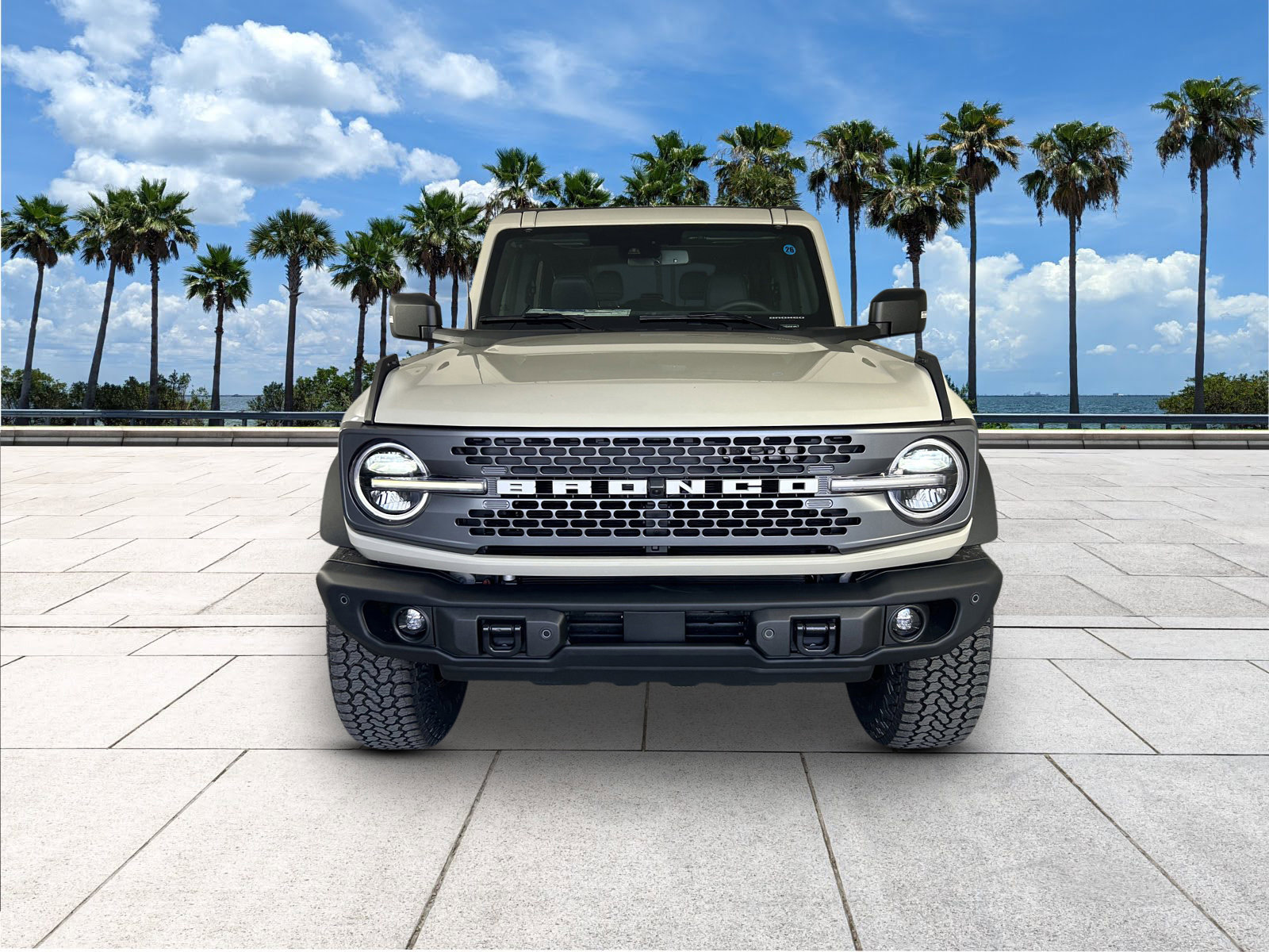 New 2025 Ford Bronco Badlands image 3