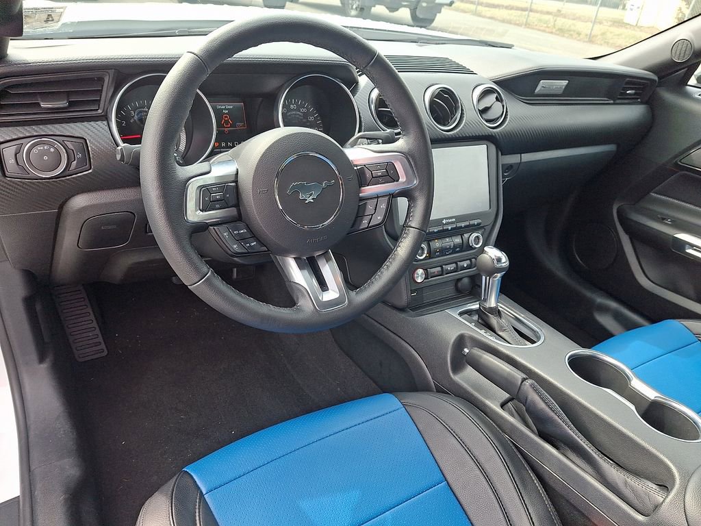 Used 2023 Ford Mustang EcoBoost w/ Mustang Nite Pony Package image 13