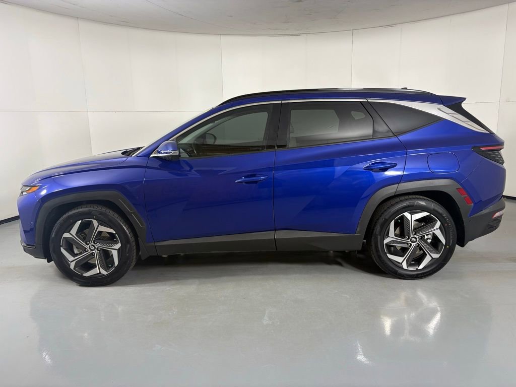 Used 2023 Hyundai Tucson Limited image 5