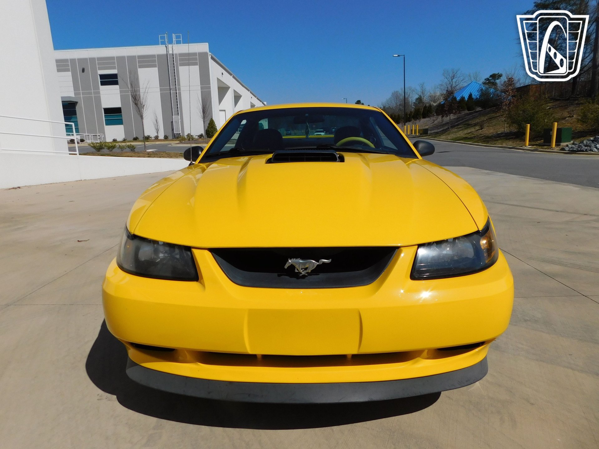 Used 2004 Ford Mustang Mach 1 RWD image 4