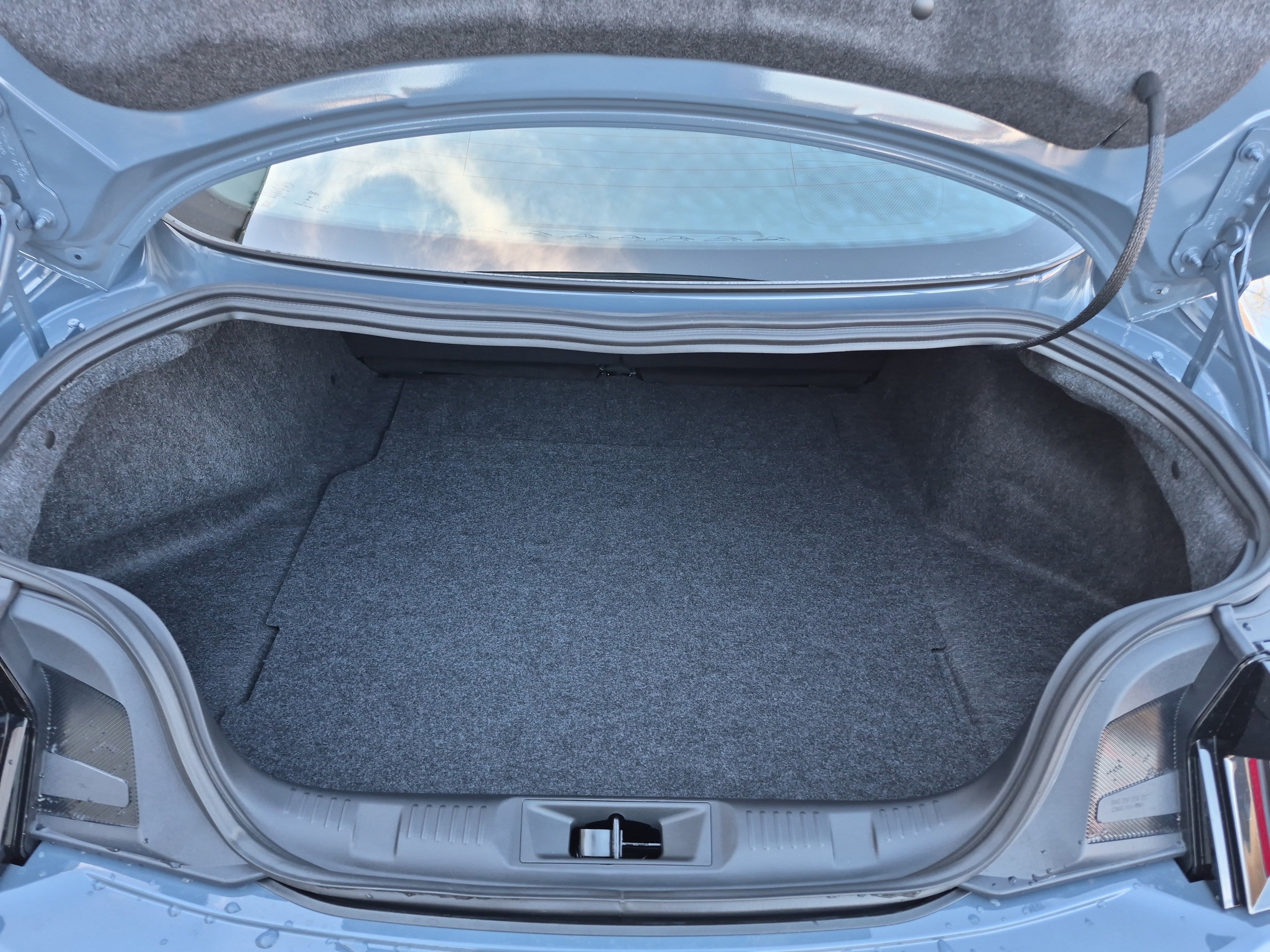 New 2026 Ford Mustang Coupe w/ Mustang Nite Pony Package image 9