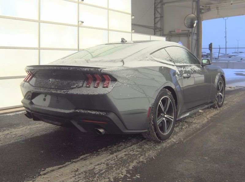 Used 2024 Ford Mustang Premium image 2