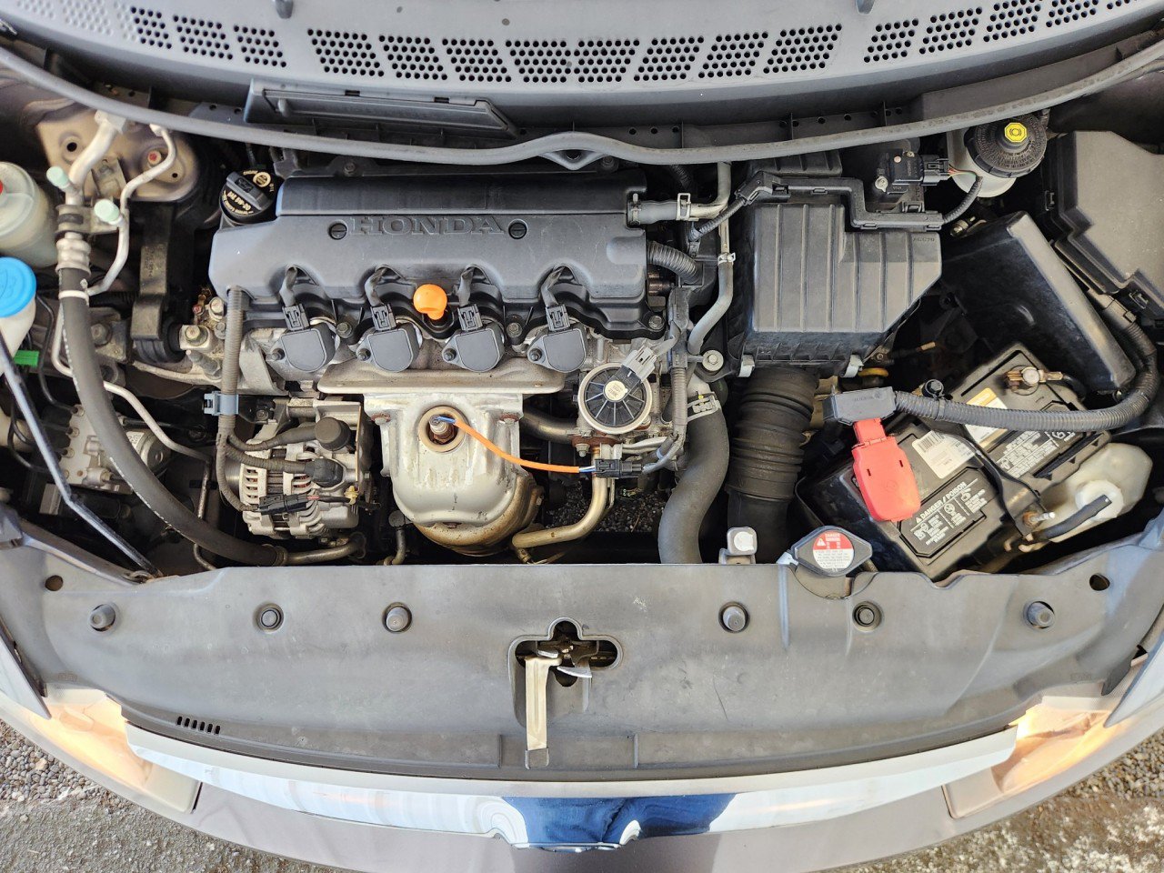 Used 2010 Honda Civic LX image 14