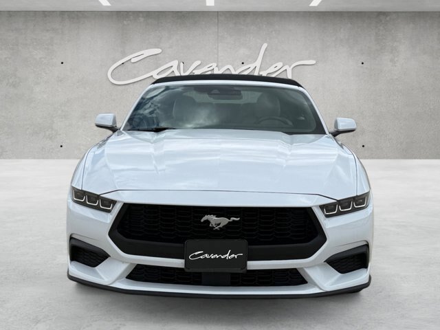Certified 2024 Ford Mustang Premium RWD image 18