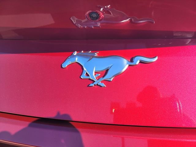 Used 2025 Ford Mustang Premium image 7