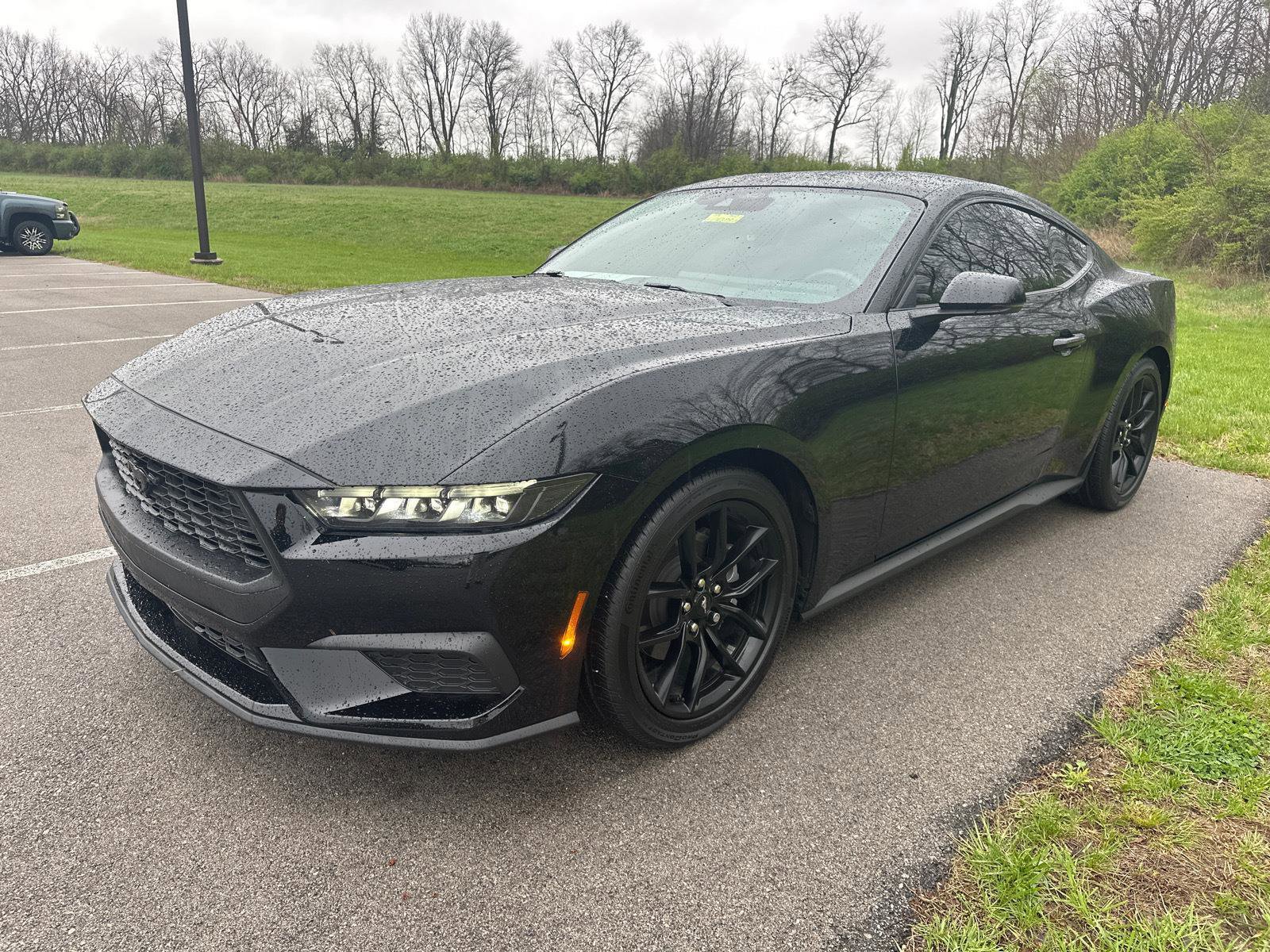 Certified 2024 Ford Mustang Premium image 2