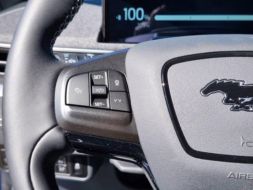 New 2025 Ford Mustang Mach-E GT w/ Interior Protection Package image 27