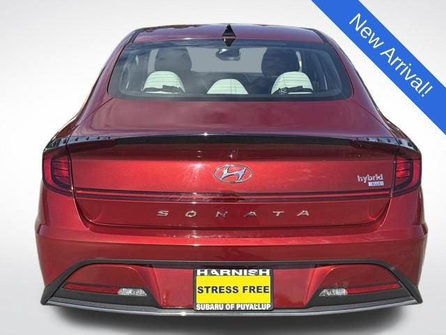 Used 2023 Hyundai Sonata Blue FWD image 6