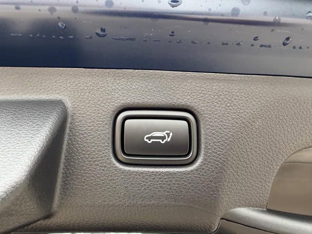 New 2026 Kia Seltos EX AWD/4WD image 5