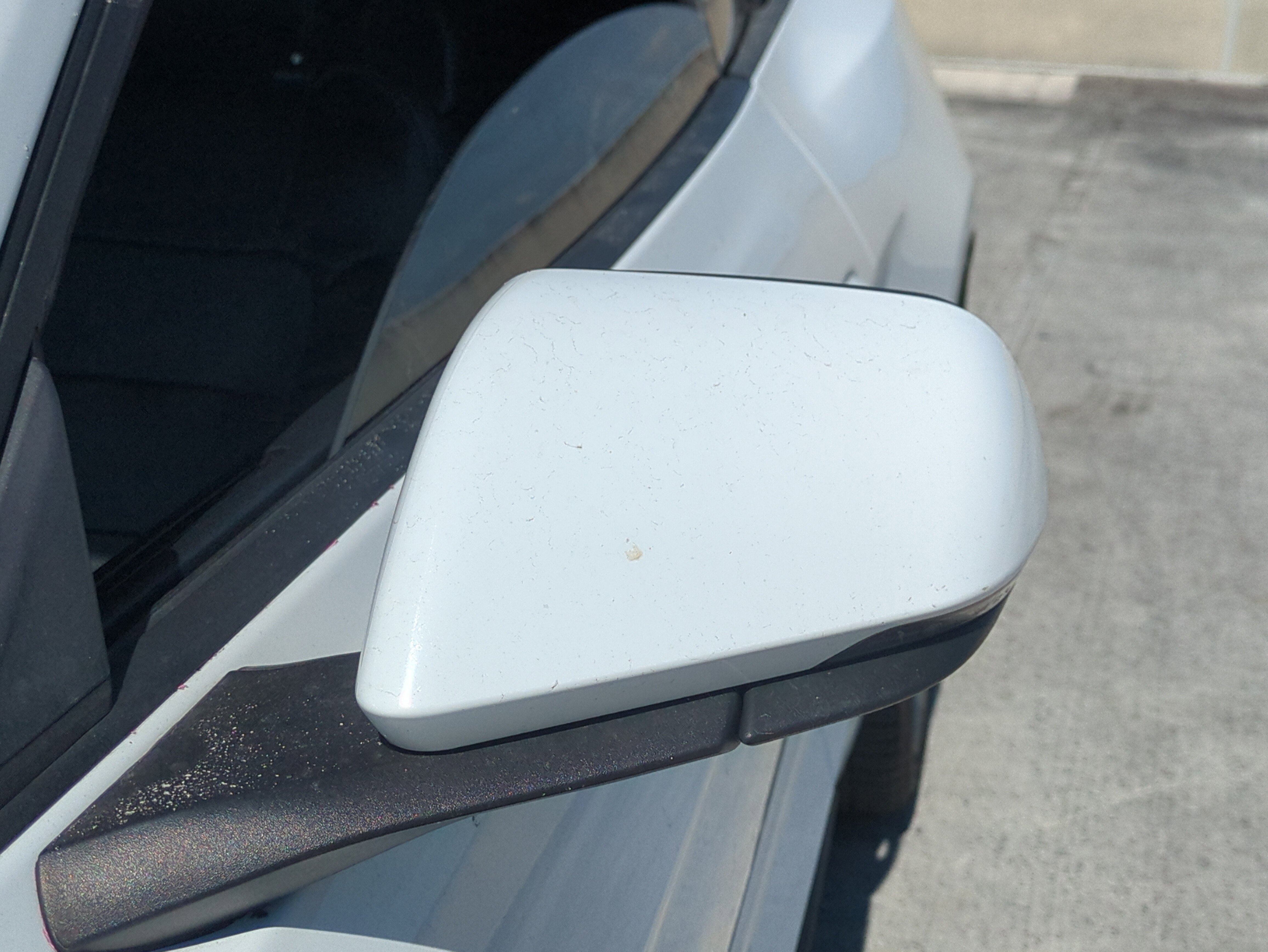 Used 2019 Ford Mustang GT Premium image 12