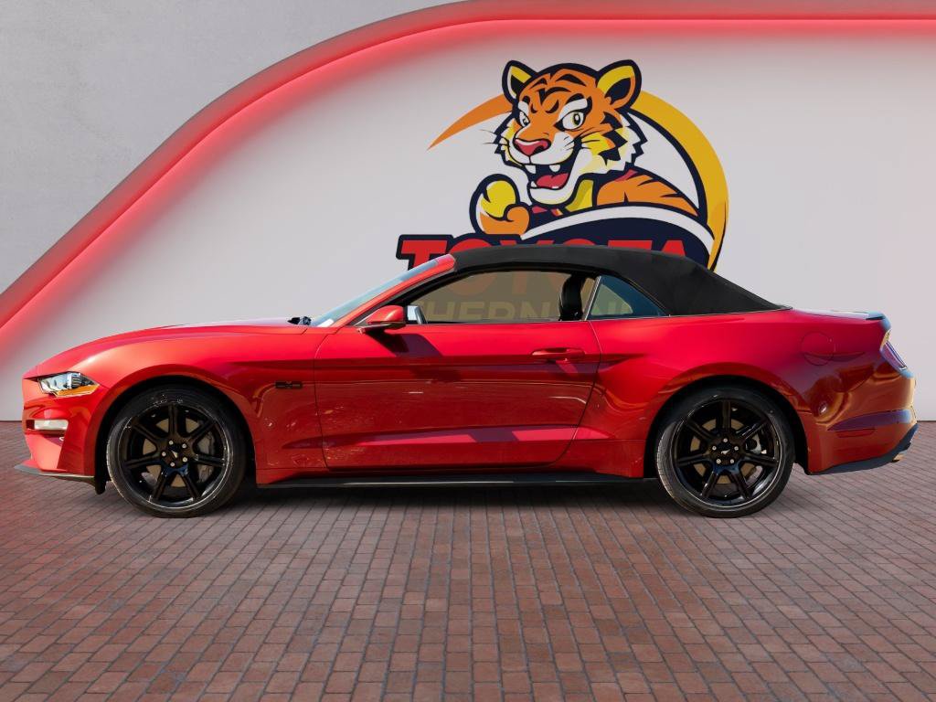 Used 2019 Ford Mustang GT Premium w/ Equipment Group 401A RWD image 9