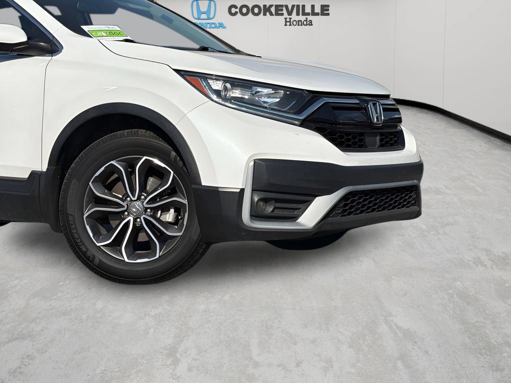 Used 2020 Honda CR-V EX-L image 3