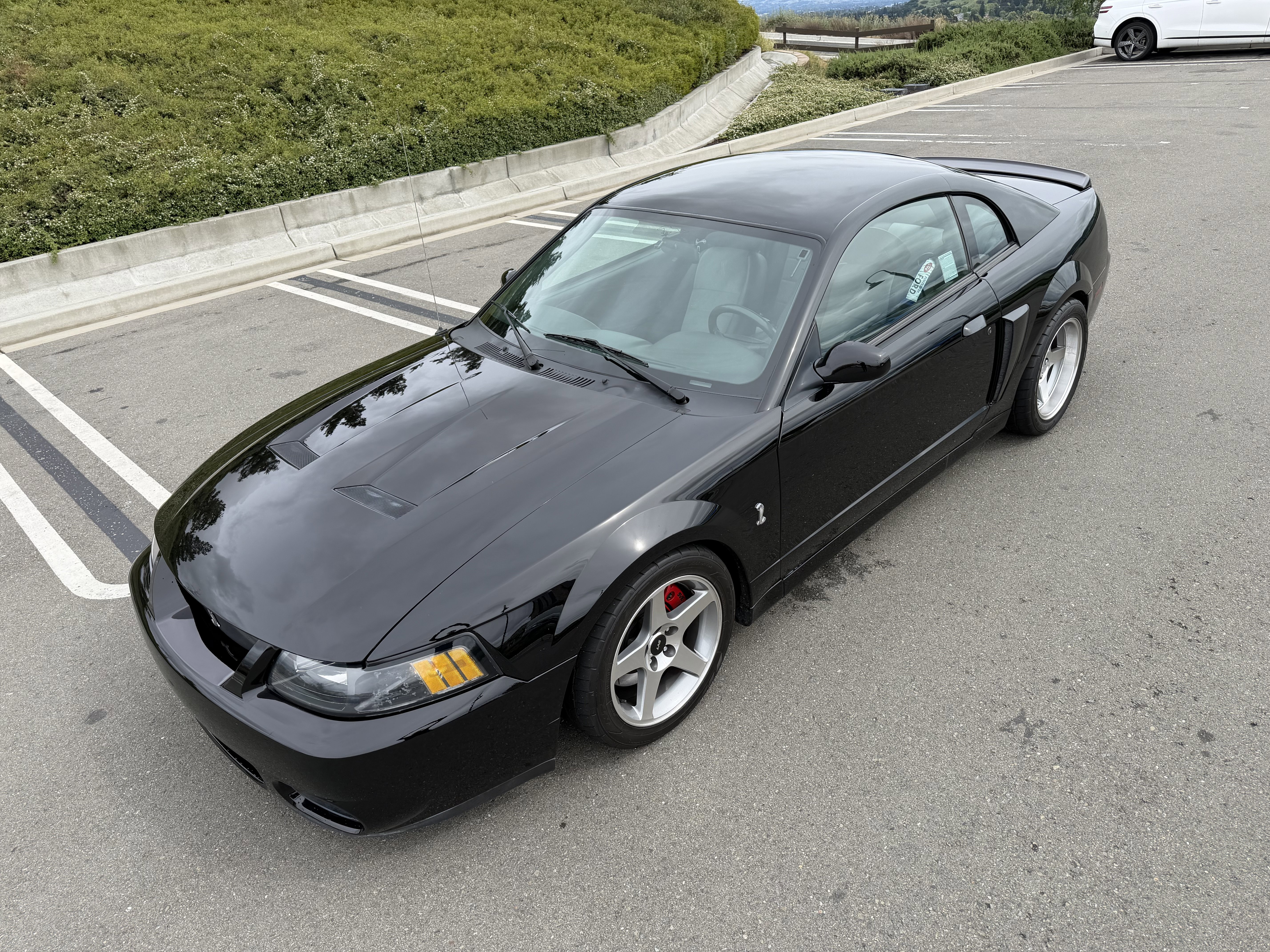 Used 2003 Ford Mustang Cobra RWD image 2