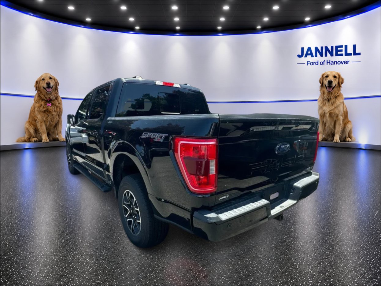 Used 2023 Ford F150 XLT w/ Equipment Group 302A High AWD/4WD image 8