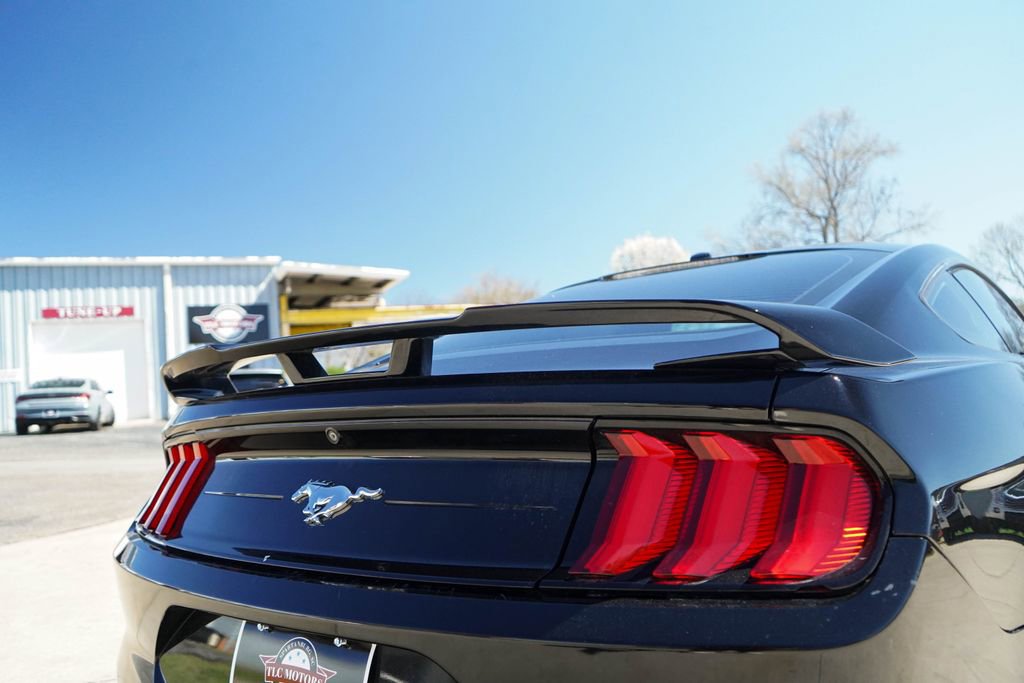 Used 2019 Ford Mustang EcoBoost w/ Ecoboost Performance Package image 14