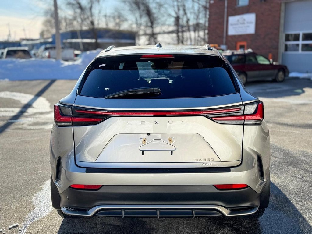 Used 2023 Lexus NX 350 F Sport image 5