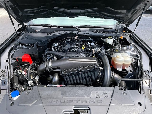 Used 2024 Ford Mustang Premium RWD image 11