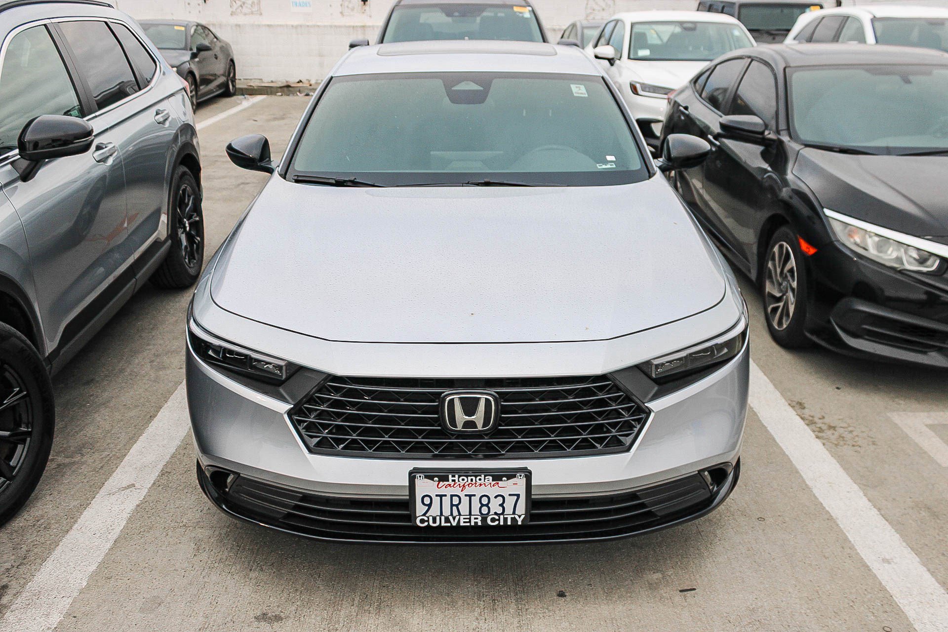 Used 2025 Honda Accord Sport image 2