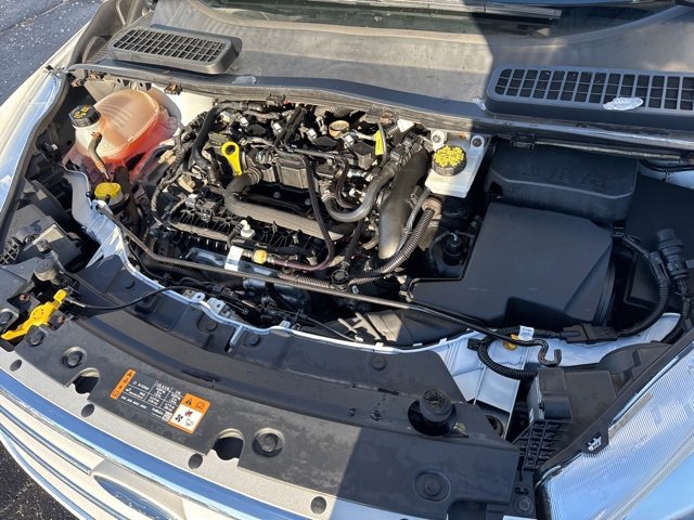 Used 2019 Ford Escape SEL image 26