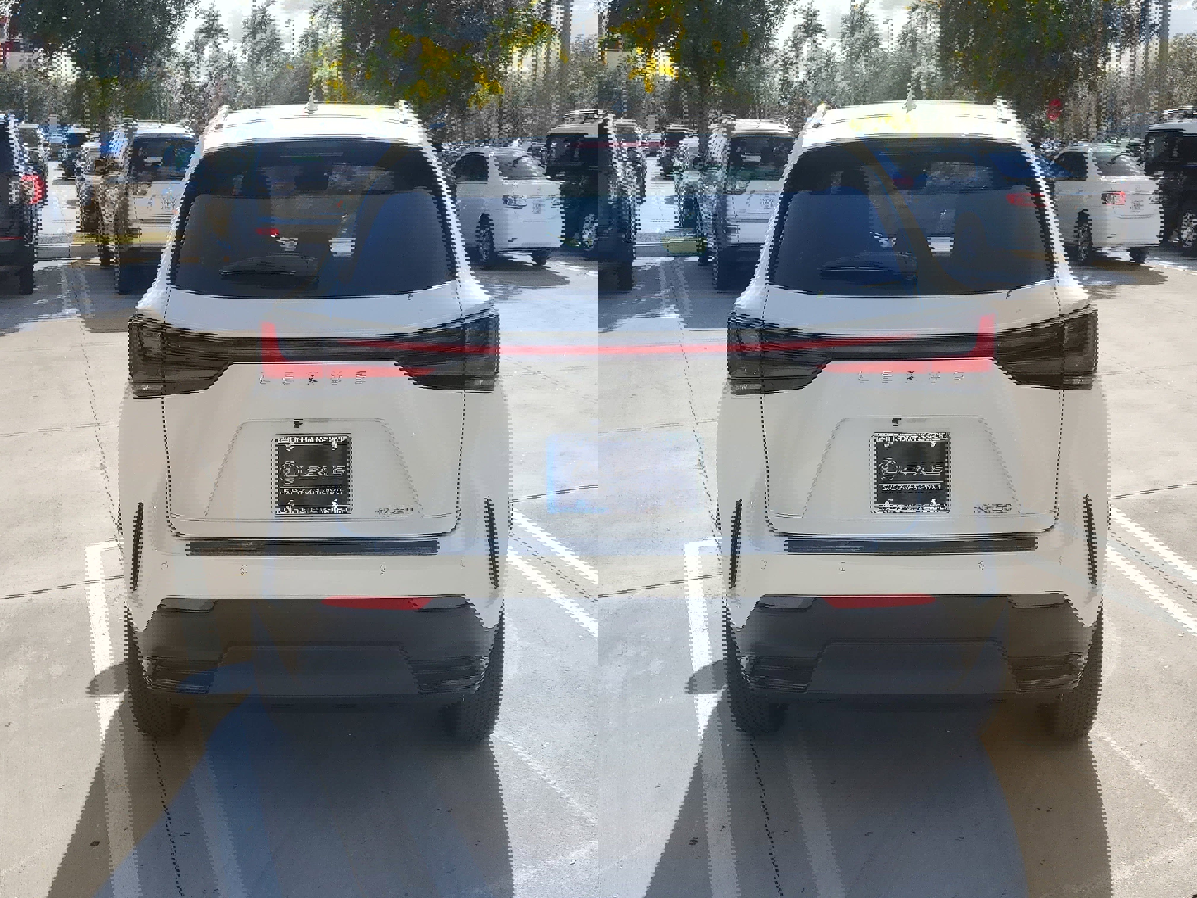 Used 2024 Lexus NX 250 NX 250 Premium image 8