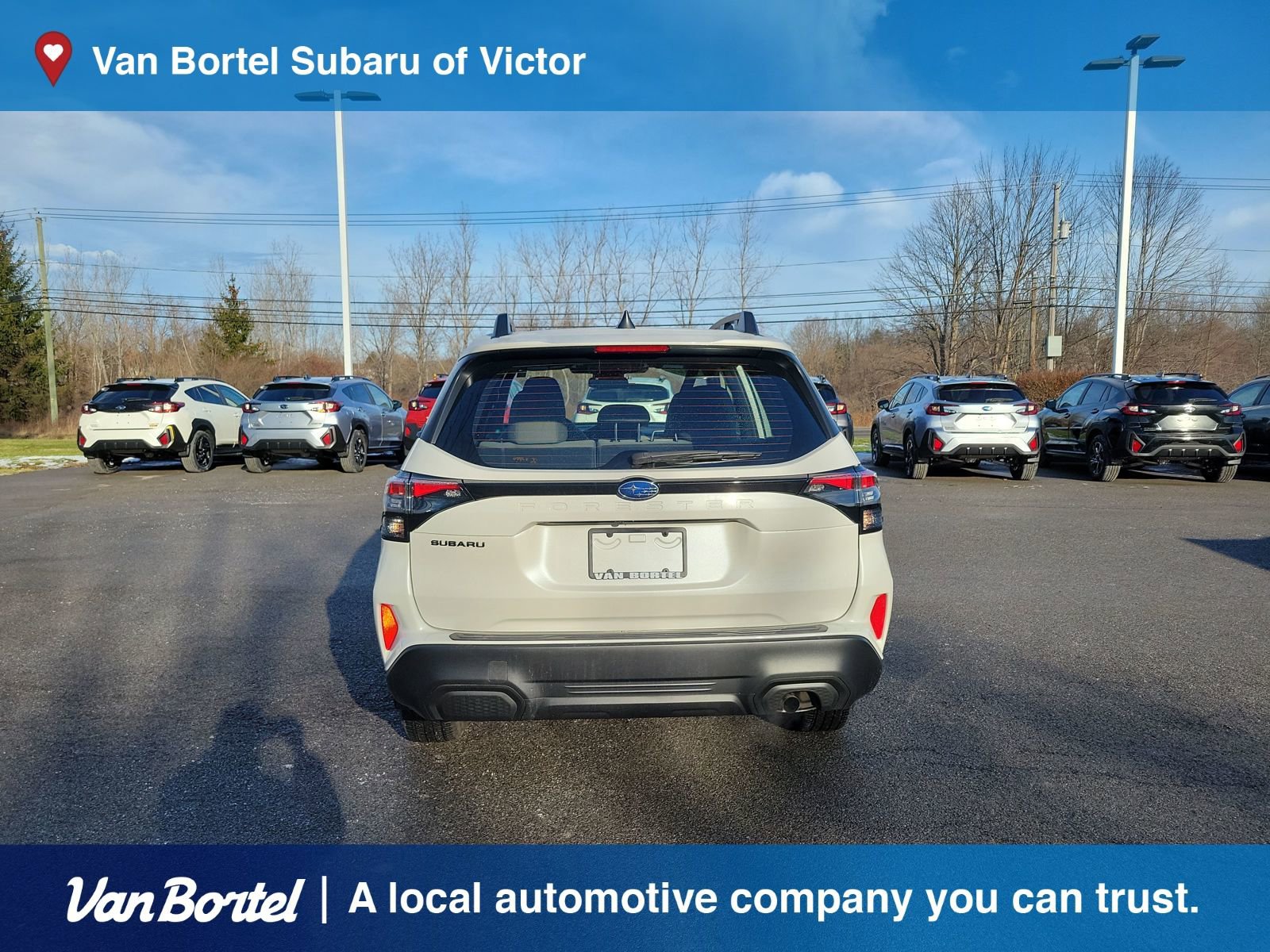 Certified 2025 Subaru Forester image 4