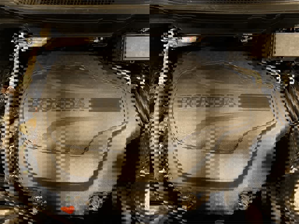 Used 2019 Honda Pilot EX-L image 12