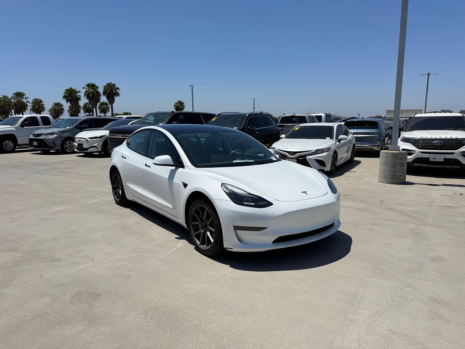 Used 2023 Tesla Model 3 Standard Range RWD image 4