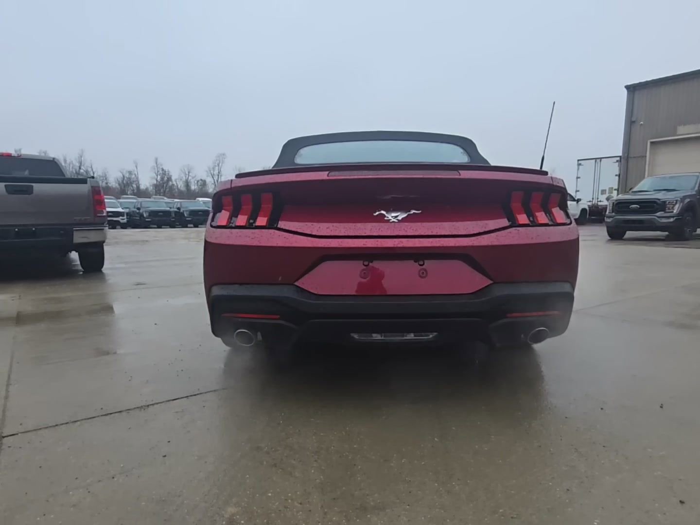 Used 2025 Ford Mustang Premium w/ Wheel & Stripe Package image 6