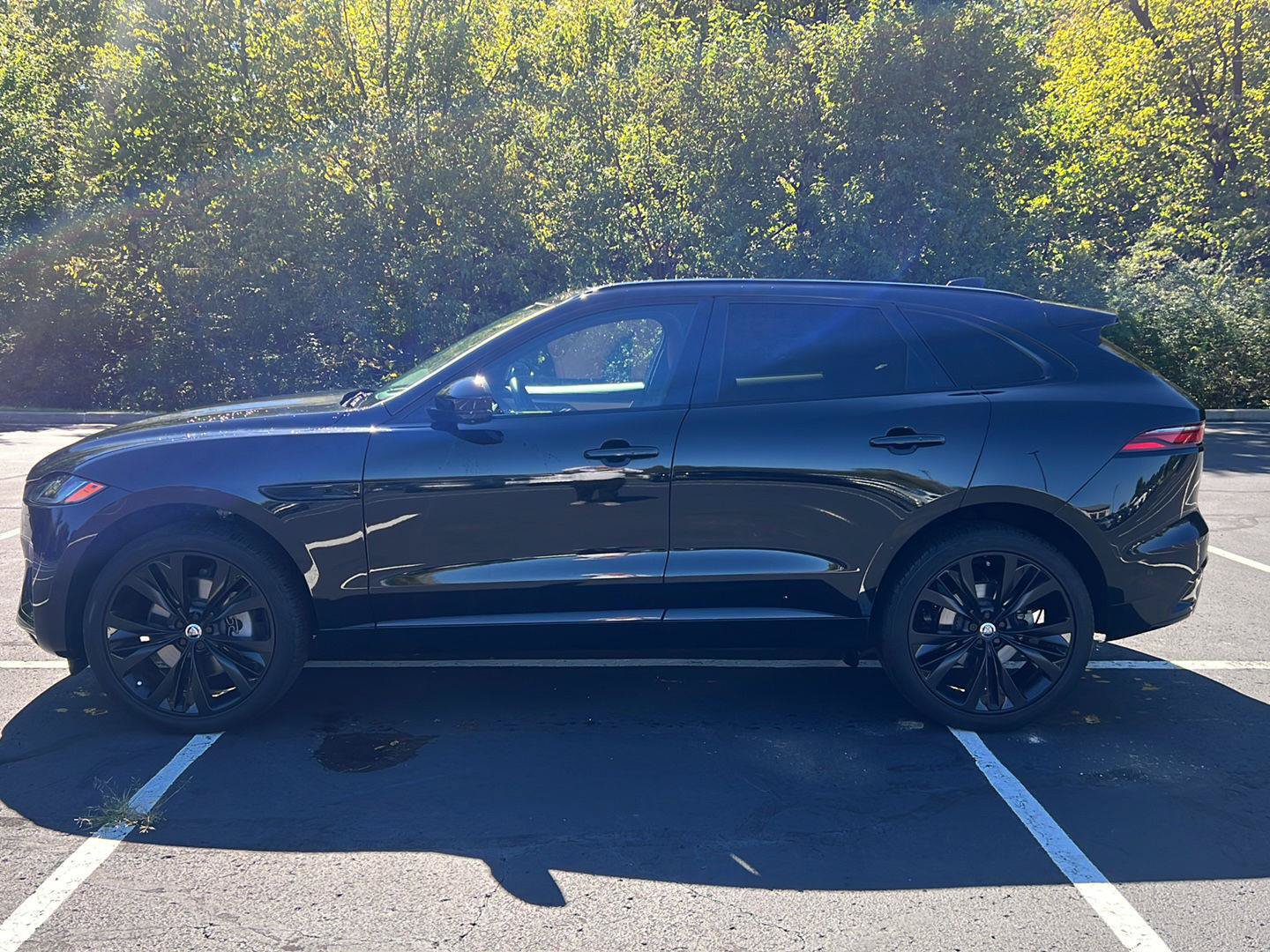 Certified 2026 Jaguar F-PACE R-Dynamic S AWD/4WD image 2
