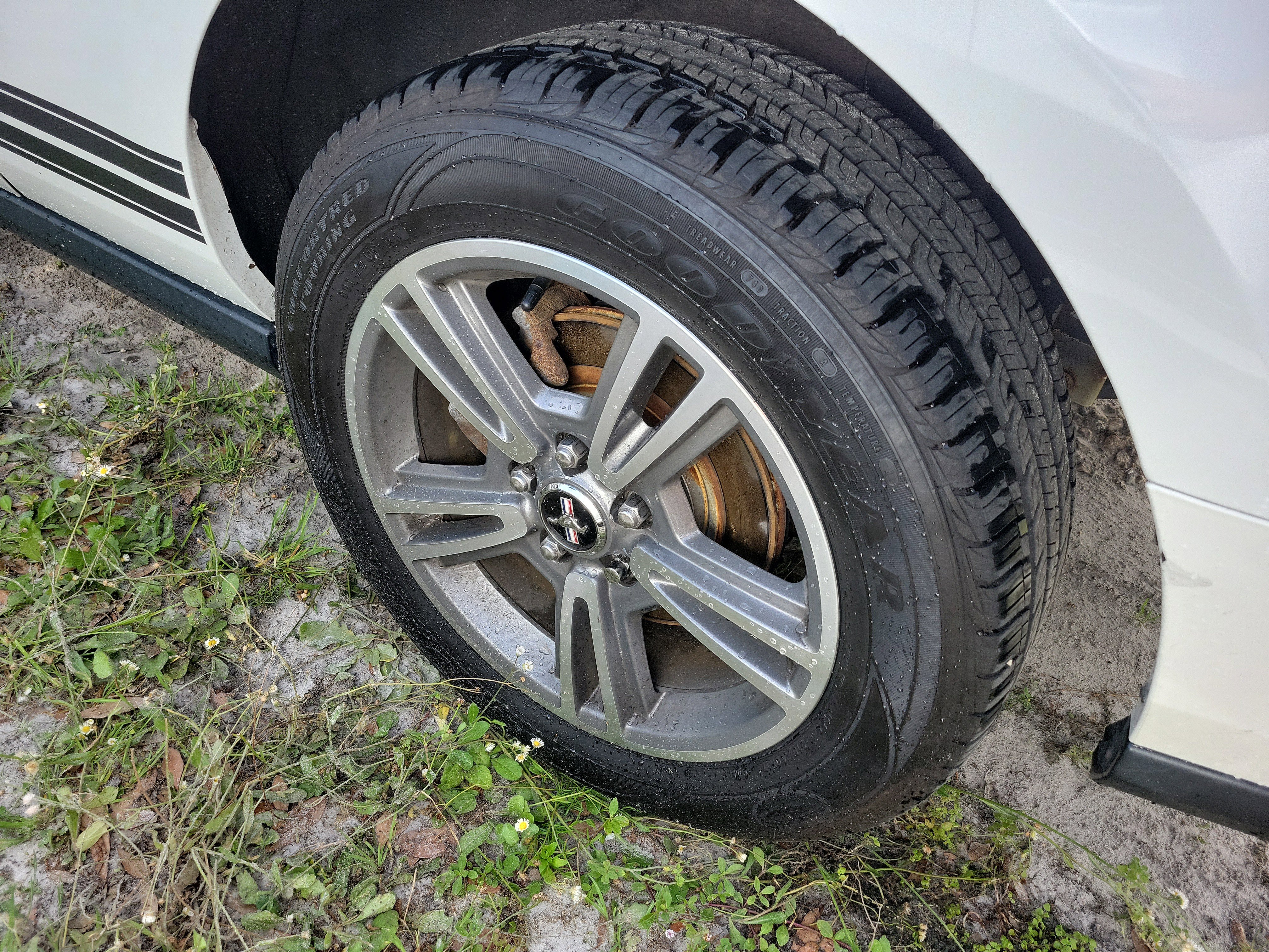Used 2010 Ford Mustang Convertible image 5
