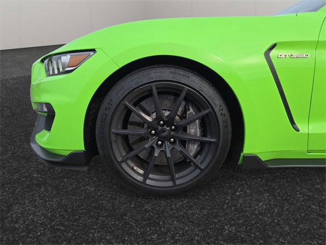 Used 2016 Ford Mustang Shelby GT350 image 4